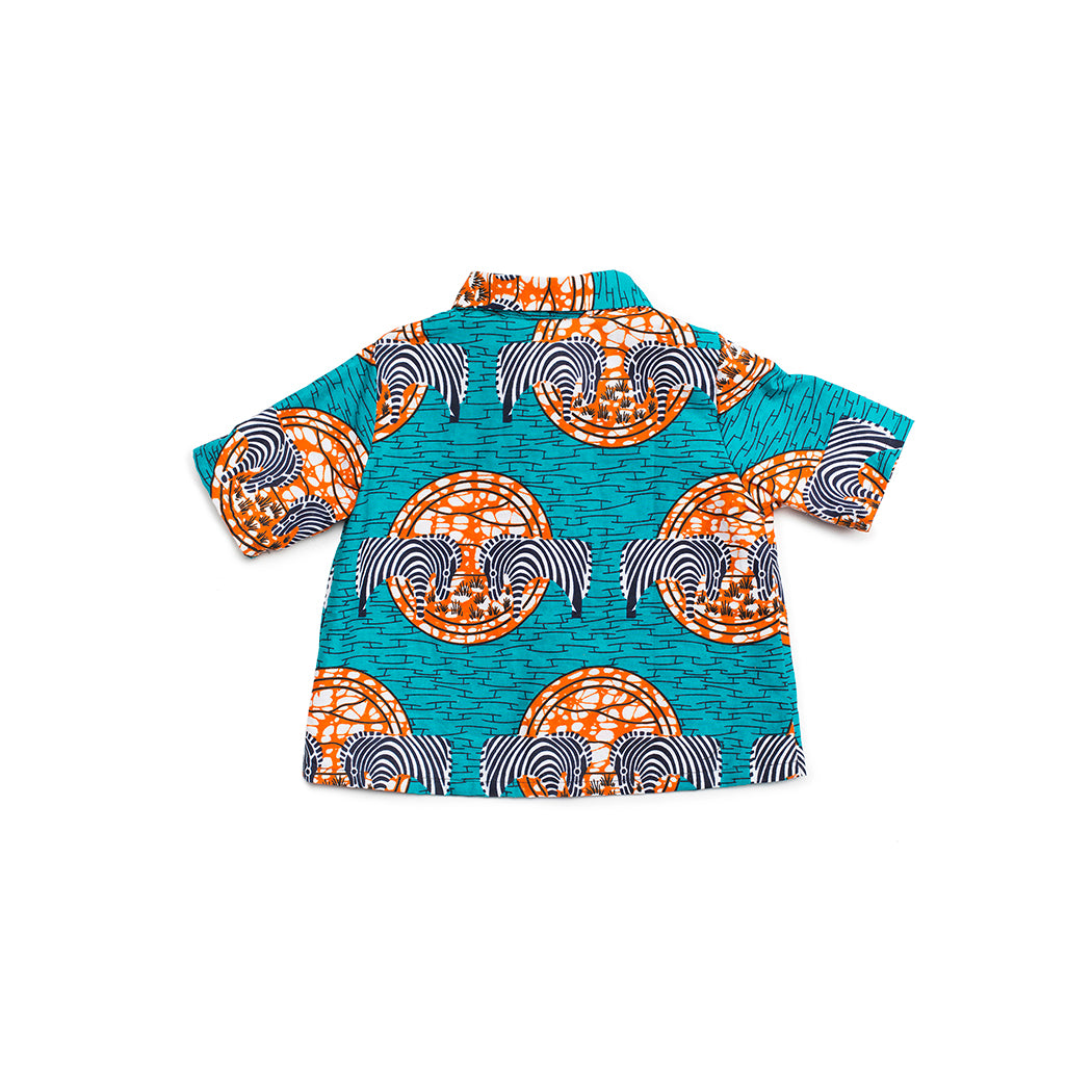 The Zebra Shirt